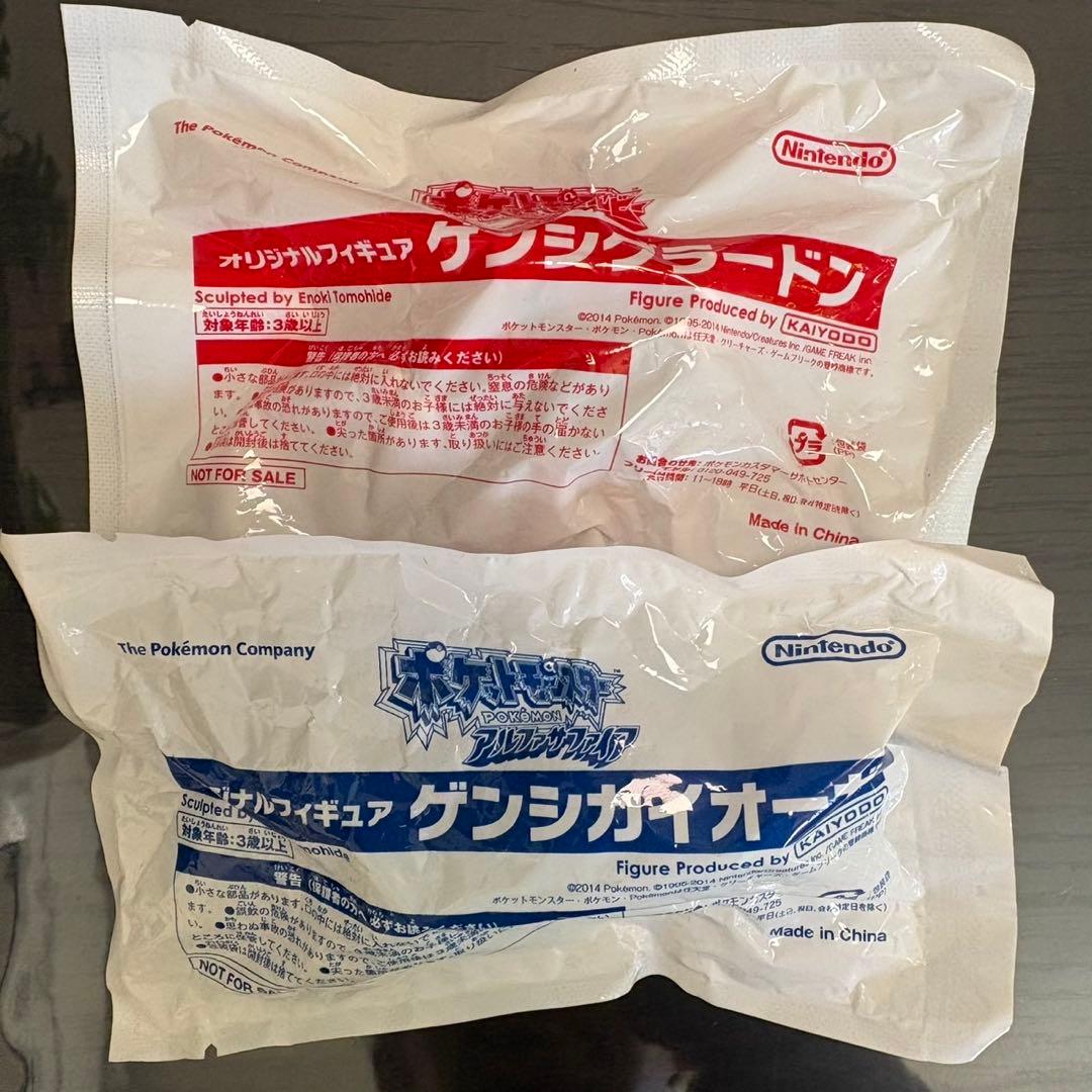 New Hoenn ART Book ポケモンセンター特典