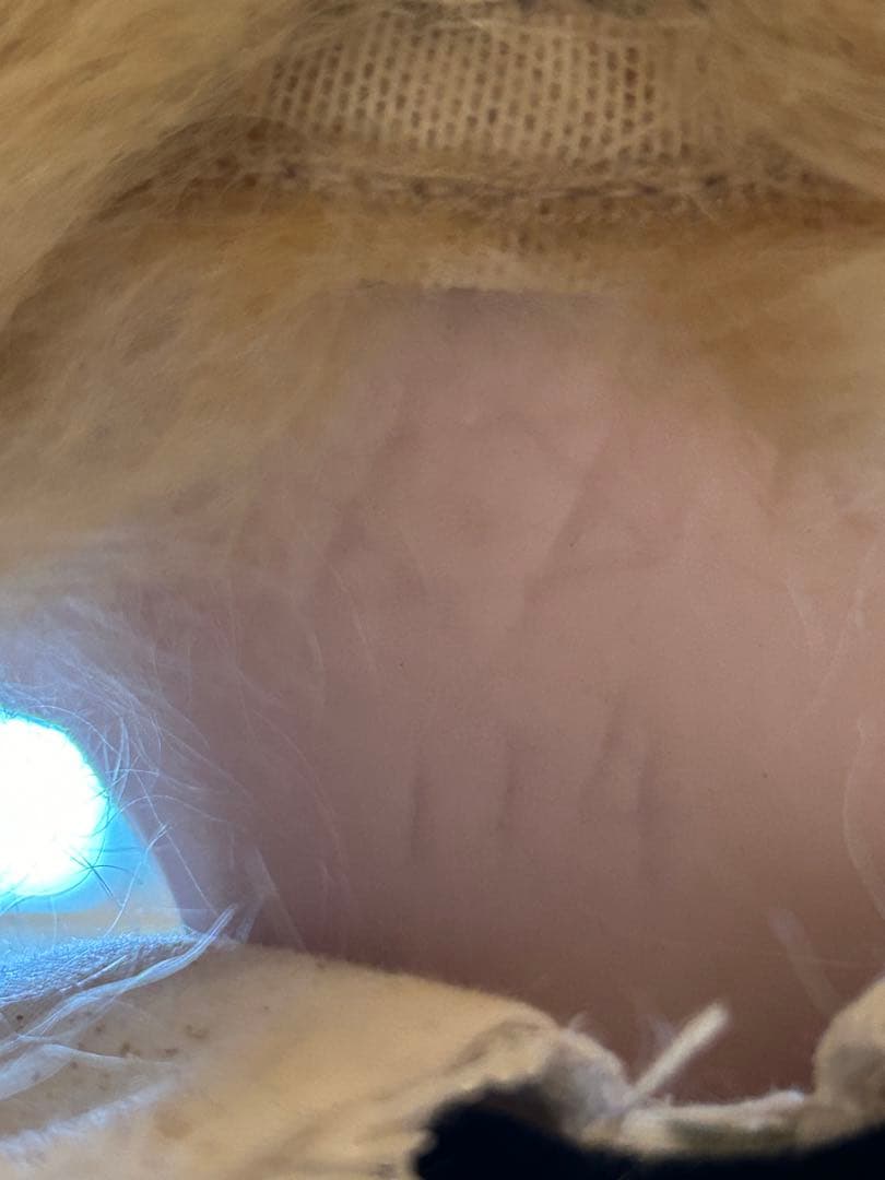 ビスクドール リプロ 三つ編み