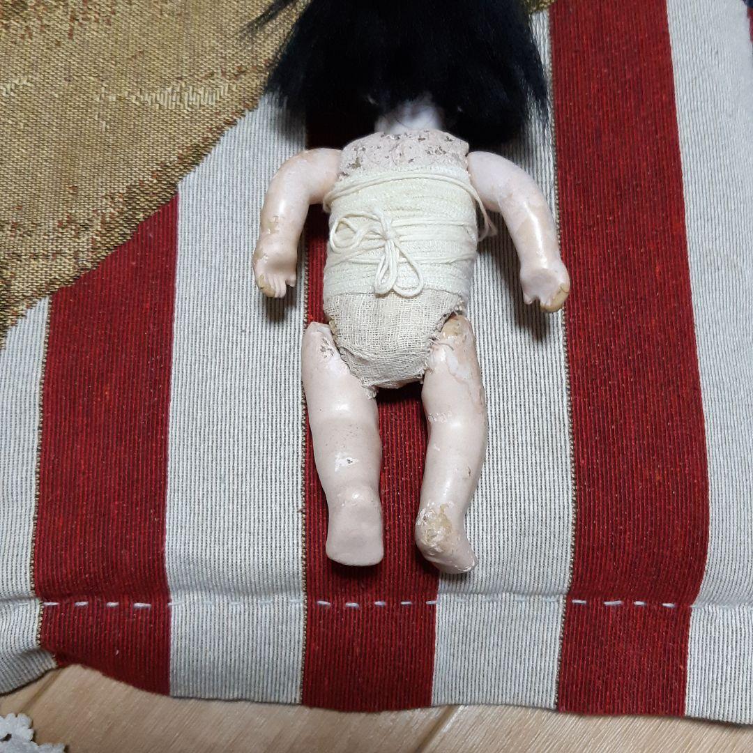 限定SALE❤レア‼珍しいお顔のサクラビスク