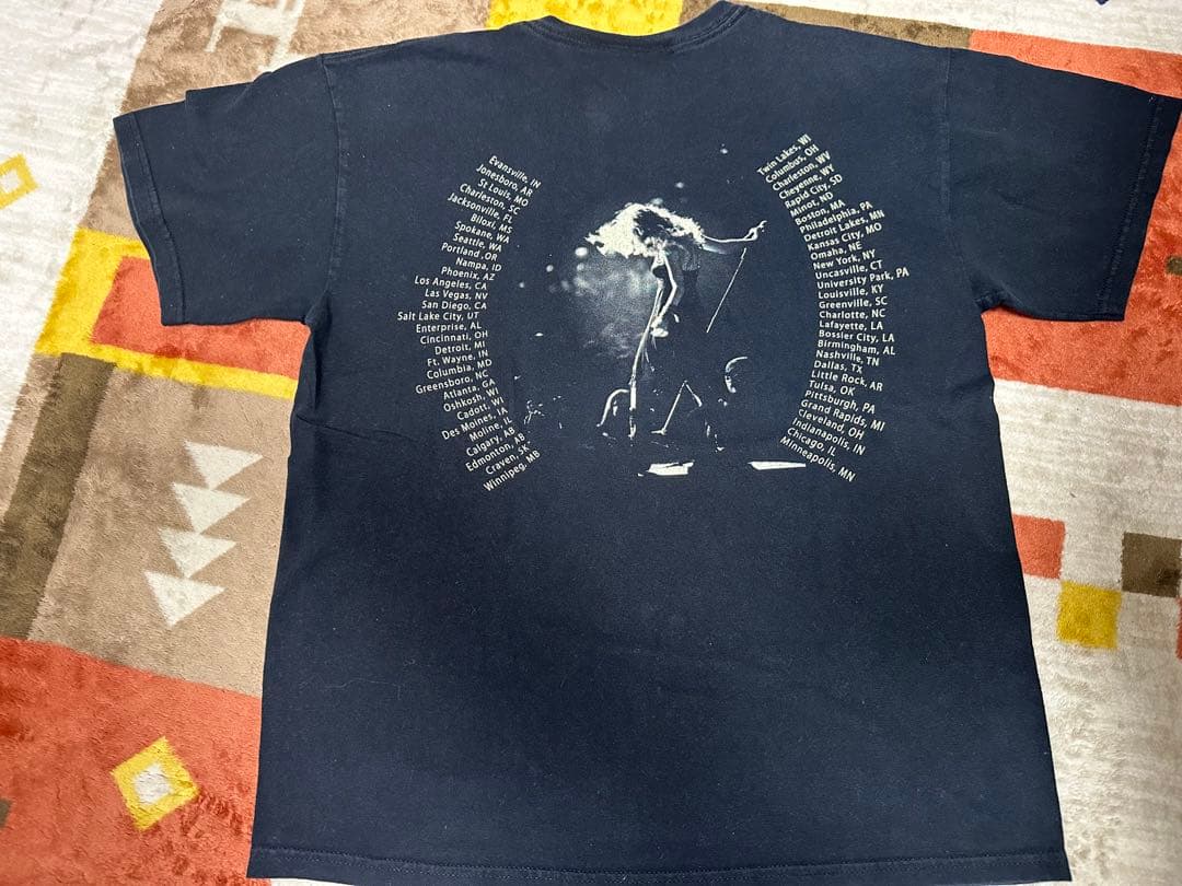 【最終値下げ！】GILDAN半袖Tシャツ　テイラースウィフトライブTシャツ