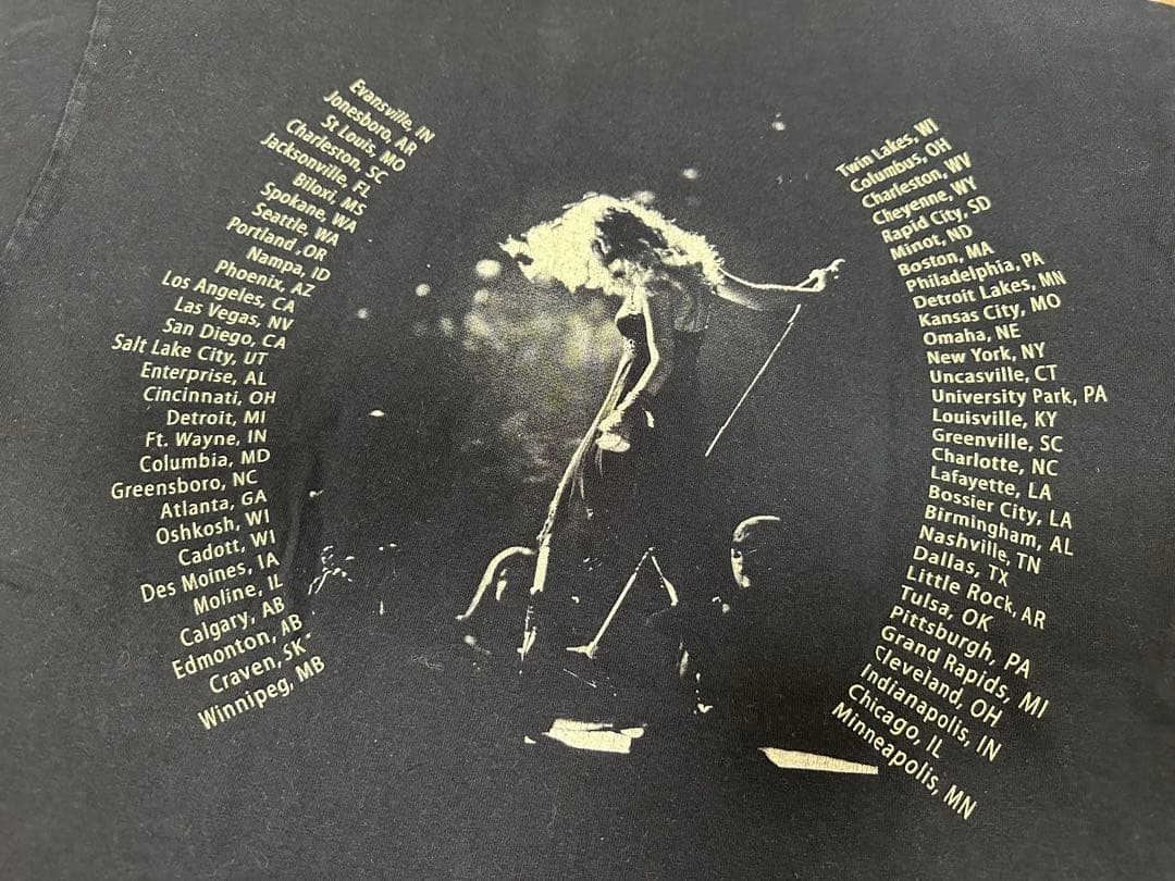 【最終値下げ！】GILDAN半袖Tシャツ　テイラースウィフトライブTシャツ