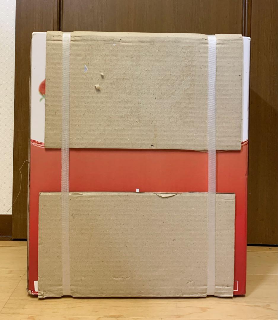 値下げ！【未使用】SHARP スロージューサー HEALSIO EJ-CF10A