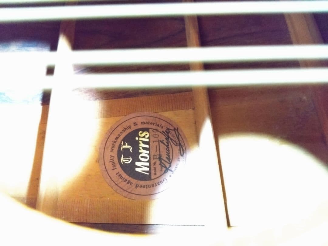 MORRIS B-100 12弦アコースティックギター