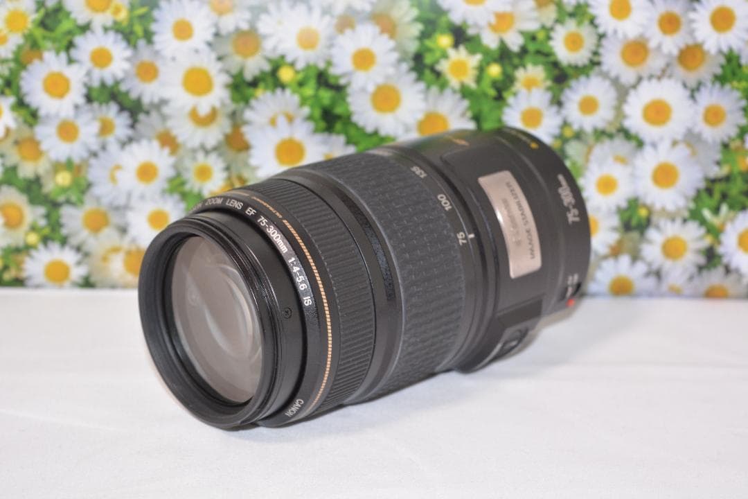 美品❤️Canon EF 75-300mm IS USM❤️超望遠❤️
