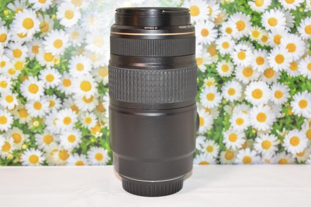 美品❤️Canon EF 75-300mm IS USM❤️超望遠❤️