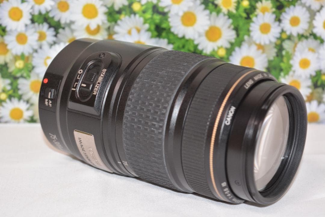 美品❤️Canon EF 75-300mm IS USM❤️超望遠❤️