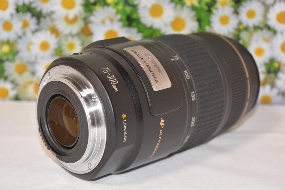 美品❤️Canon EF 75-300mm IS USM❤️超望遠❤️