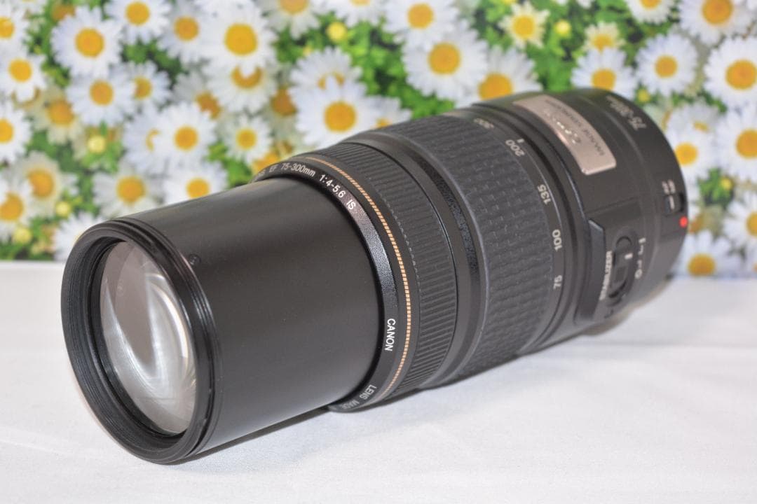 美品❤️Canon EF 75-300mm IS USM❤️超望遠❤️