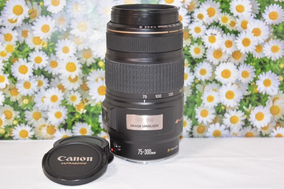 美品❤️Canon EF 75-300mm IS USM❤️超望遠❤️
