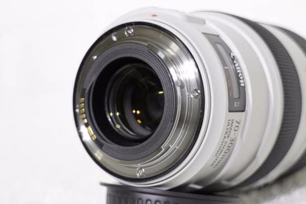 望遠 EF70-300mm F4-5.6 L IS USM