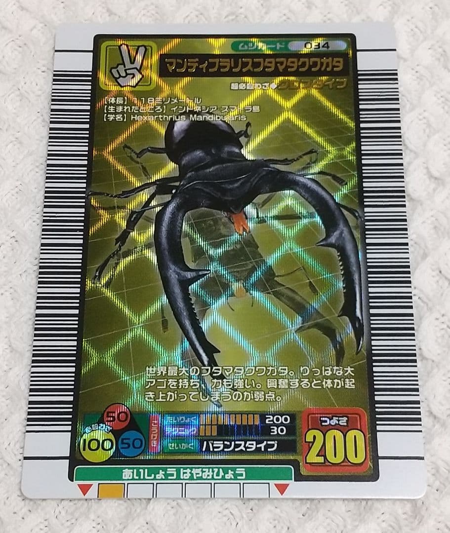 希少 真正　フルコンプ エラーカード付き ムシキング　2004年ファースト拡張
