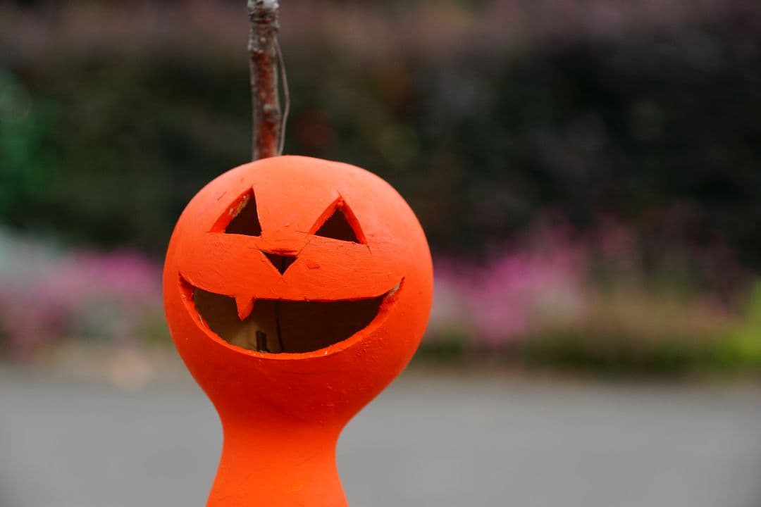 レンズ(ズーム) SONY ZEISS Vario-Sonnar T* DT16-80mm ZA