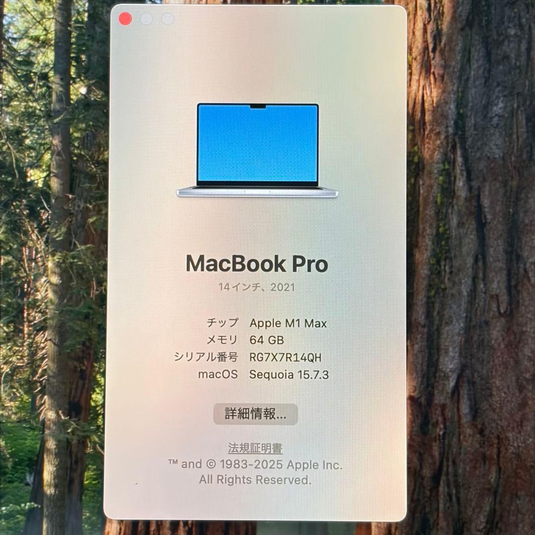 MacBook Pro 14インチ M1 Max メモリ64GB SSD1TB