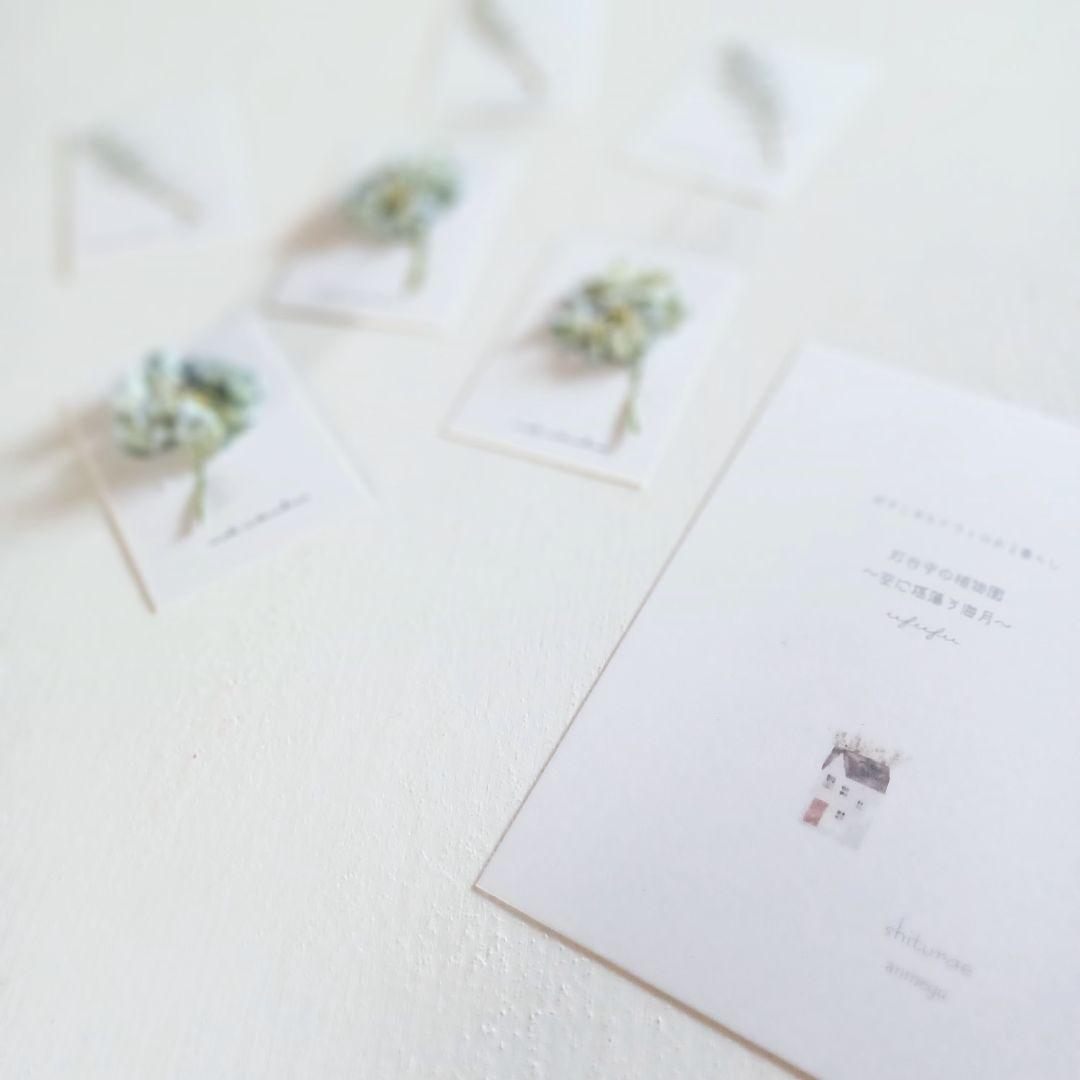 shiturae を 紡ぐ ～自然の欠片～ 植物標本 インテリア 【準備中】