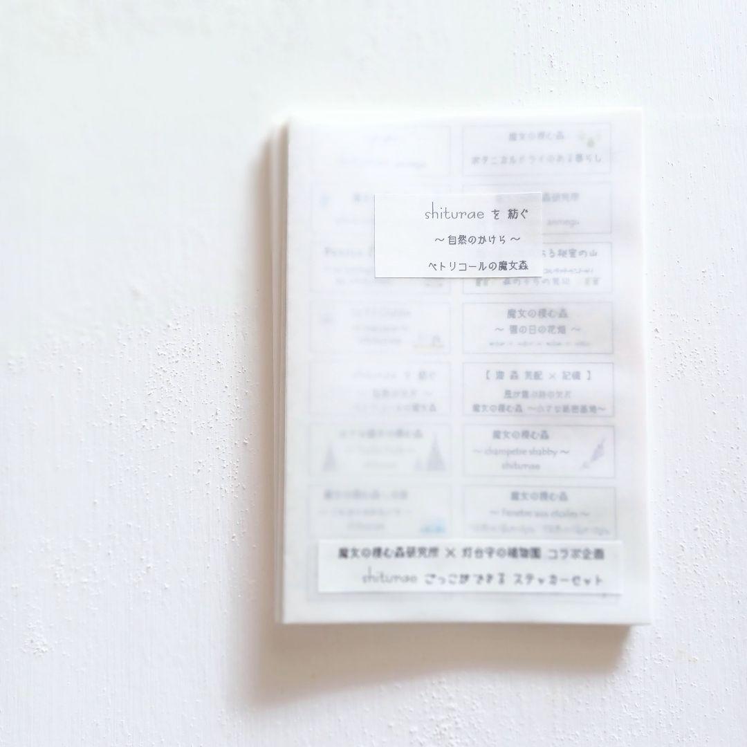 shiturae を 紡ぐ ～自然の欠片～ 植物標本 インテリア 【準備中】