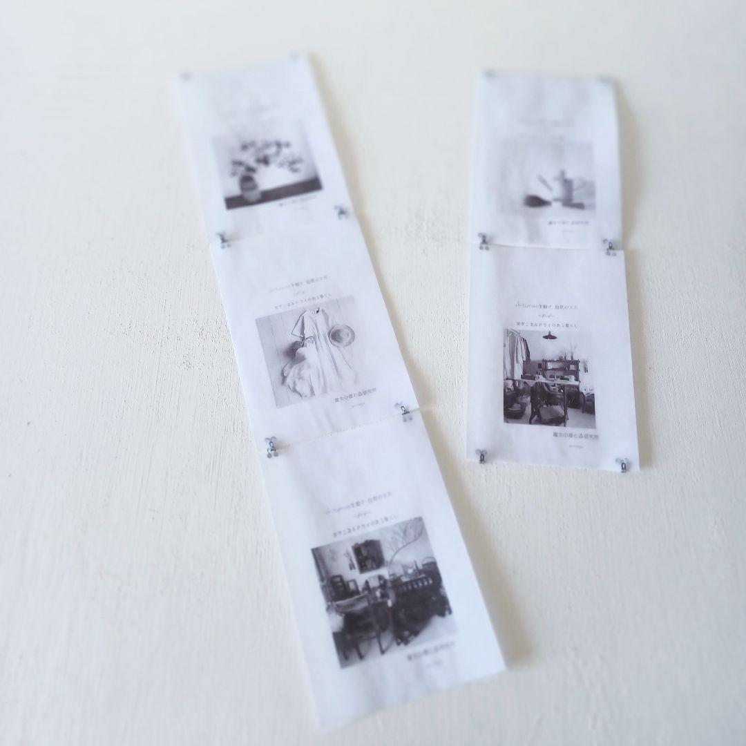 shiturae を 紡ぐ ～自然の欠片～ 植物標本 インテリア 【準備中】