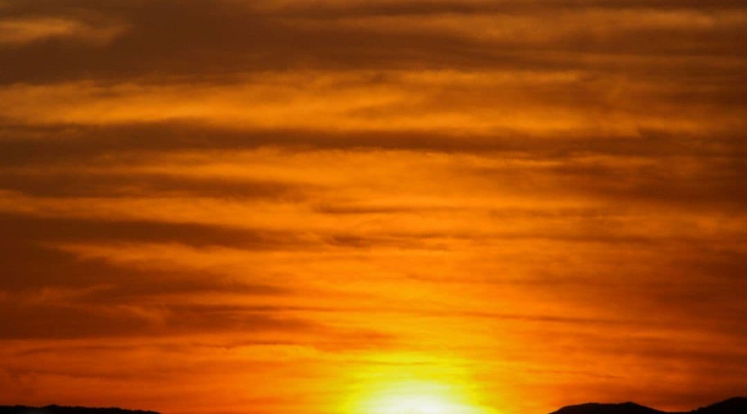 夏未⚠️プロフ一読お願い致します⚠️様　CANON　EOS　Kiss　N