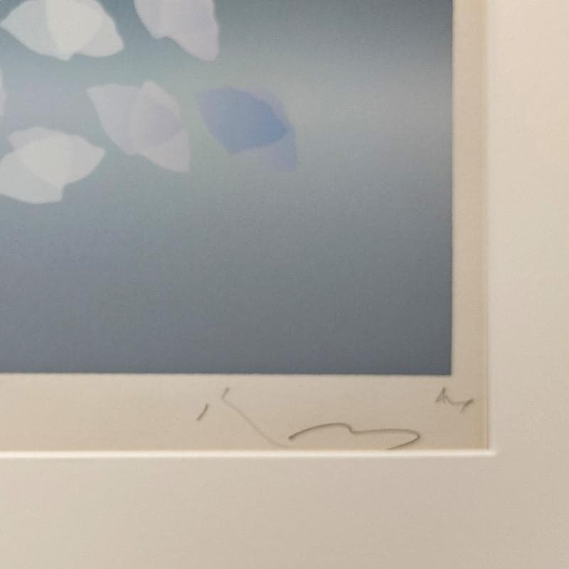 ☆井上公三☆「桜の花びら」シルクスクリーン　e.d 28/150