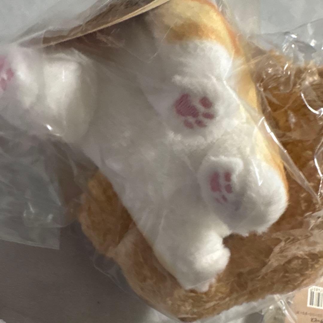 モフサンド mofusand きらめっこ　COFFEE AND DONUTS