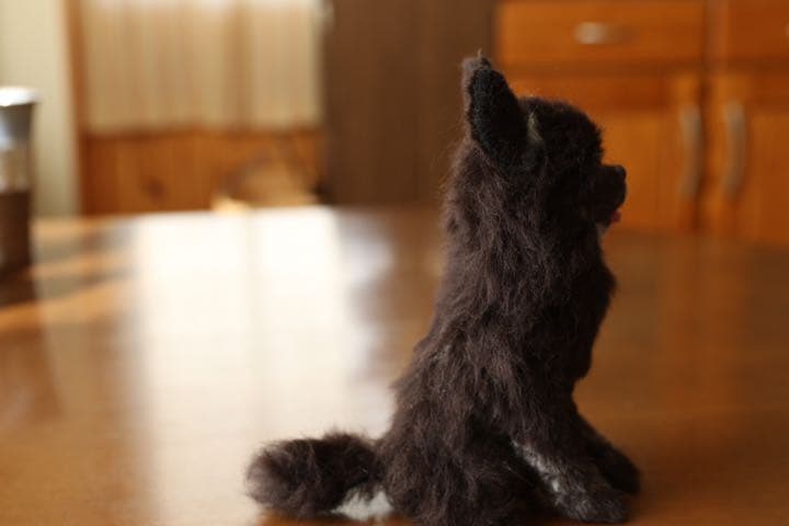 羊毛フェルト　ポメラニアン　ブラック