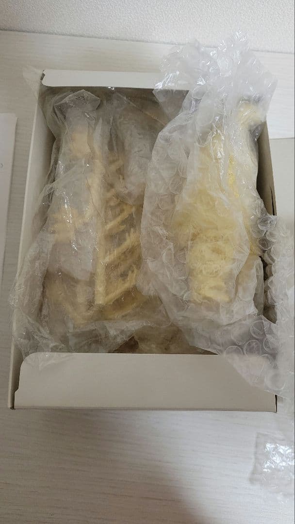 酒井ゆうじ造型工房 15cm バトゴジ レジンキット未組立 　ゴジラ1992