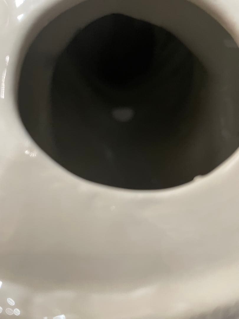 イタリア製　犬の置物 オブジェ 陶製 インテリア バセット