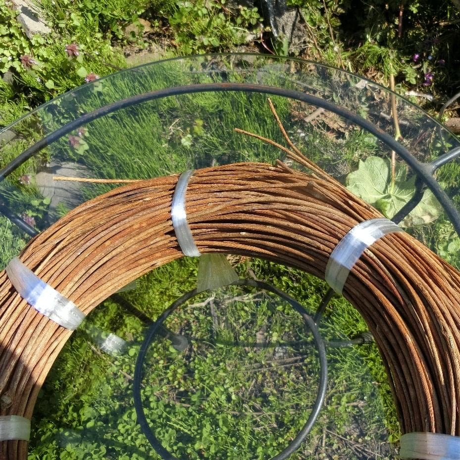 青森岩木山採取　あけび蔓　150cm～ 1.5kg