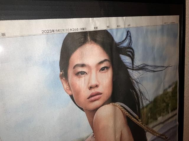 ★ルイ・ヴィトン LOUIS VUITTON GO-14 ホヨン 額装 印刷物