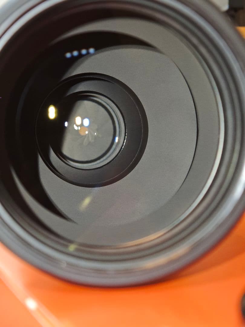 使用4回程度 SONY FE 200-600mm F5.6-6.3 G OSS