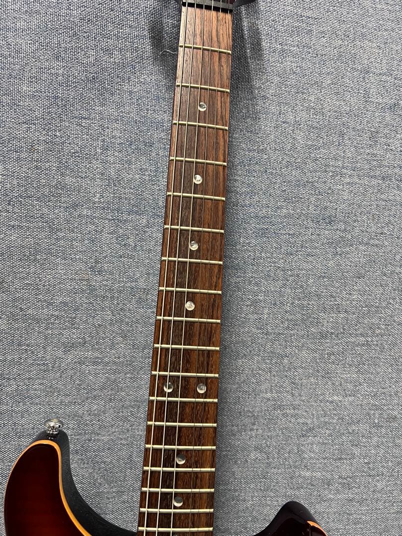 ⭐︎ほぼ未使用⭐︎ PRS SE custom