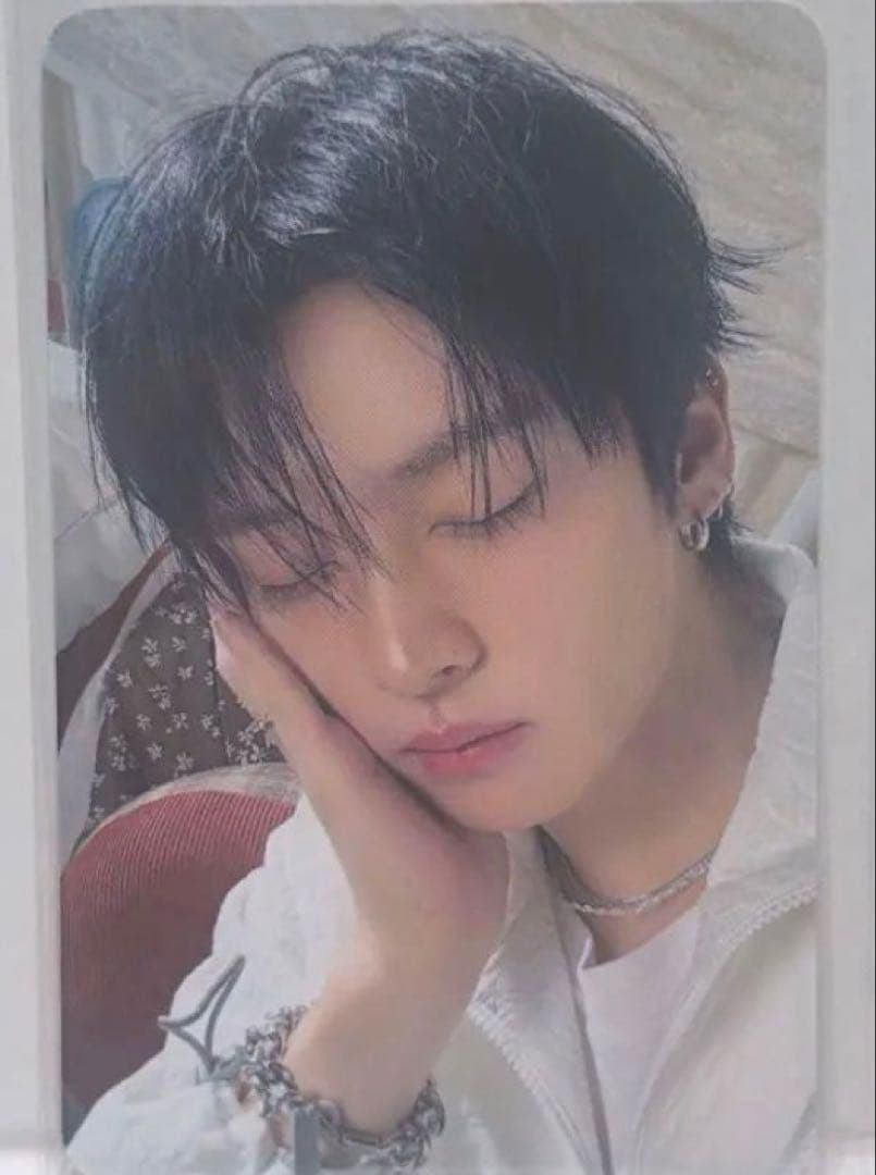 Skzoo STRAYKIDS 韓国 ペンミ コレクトケース リービット　リノ