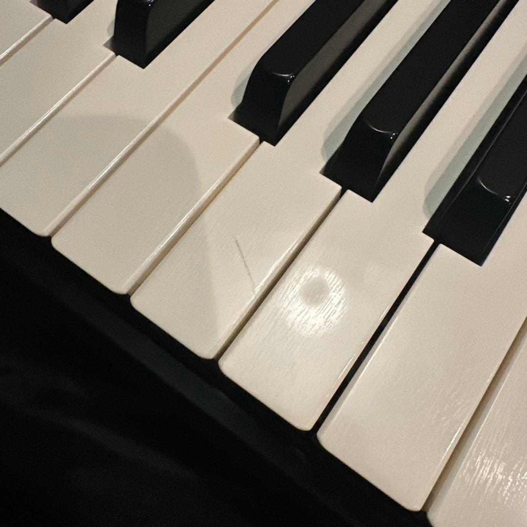 Roland JUNO-DS88 シンセサイザー ペダル付き 電子ピアノ