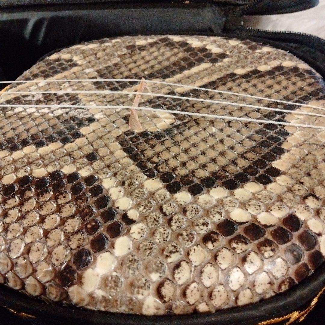 未使用級　三線 本皮