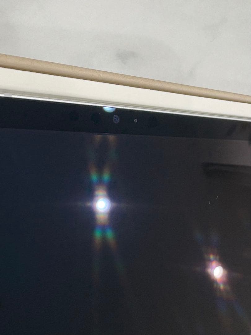 モ*ル様 【新品同様】iPad Pro 12.9 1TB Cellular 10