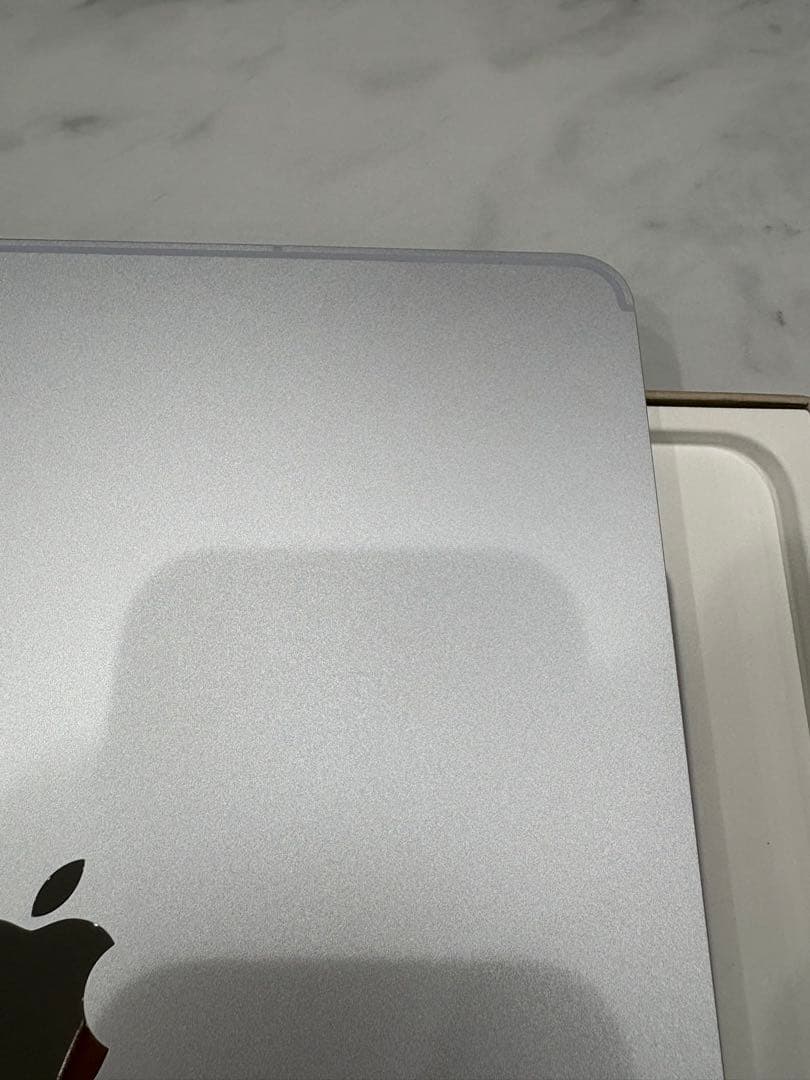 モ*ル様 【新品同様】iPad Pro 12.9 1TB Cellular 10