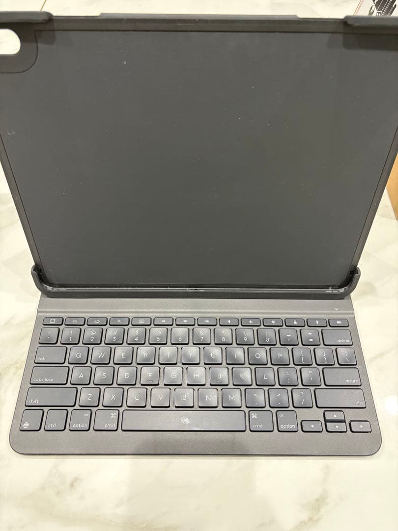 モ*ル様 【新品同様】iPad Pro 12.9 1TB Cellular 10