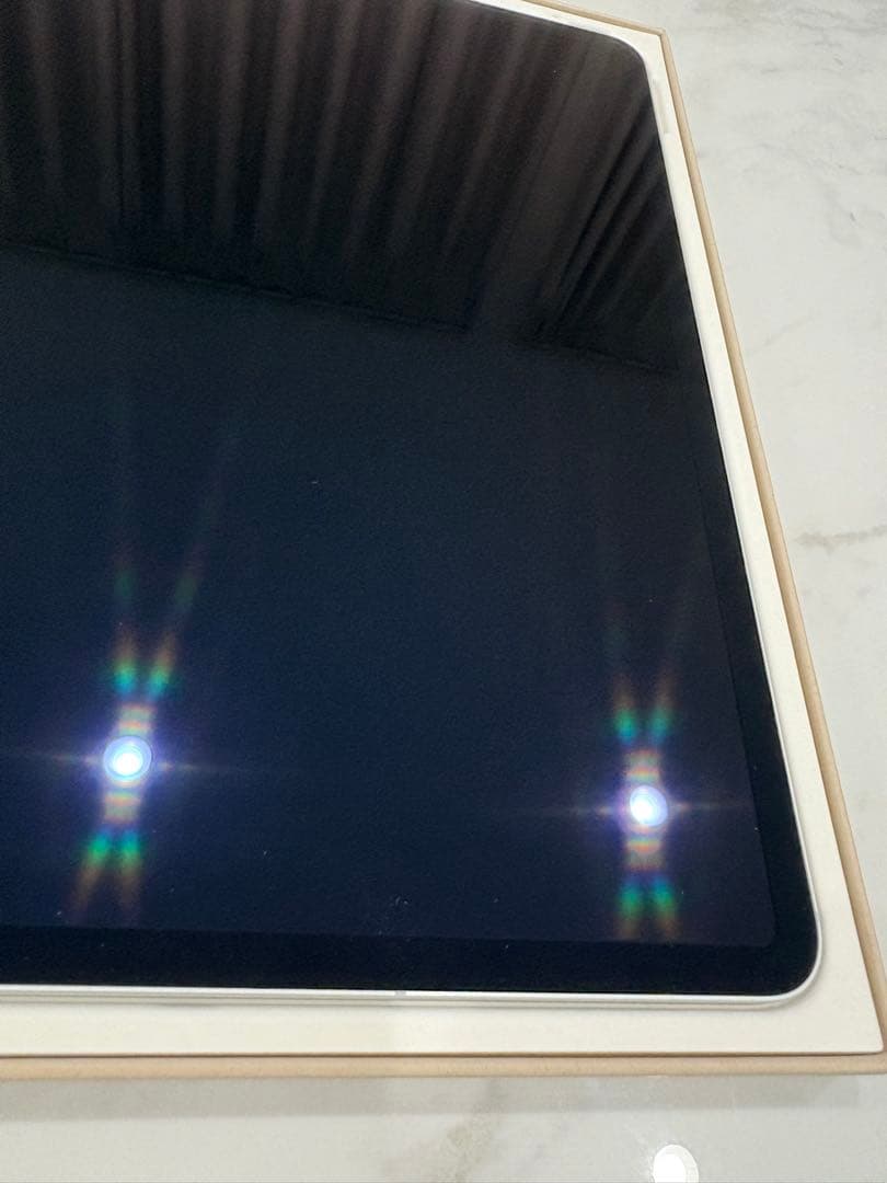 モ*ル様 【新品同様】iPad Pro 12.9 1TB Cellular 10