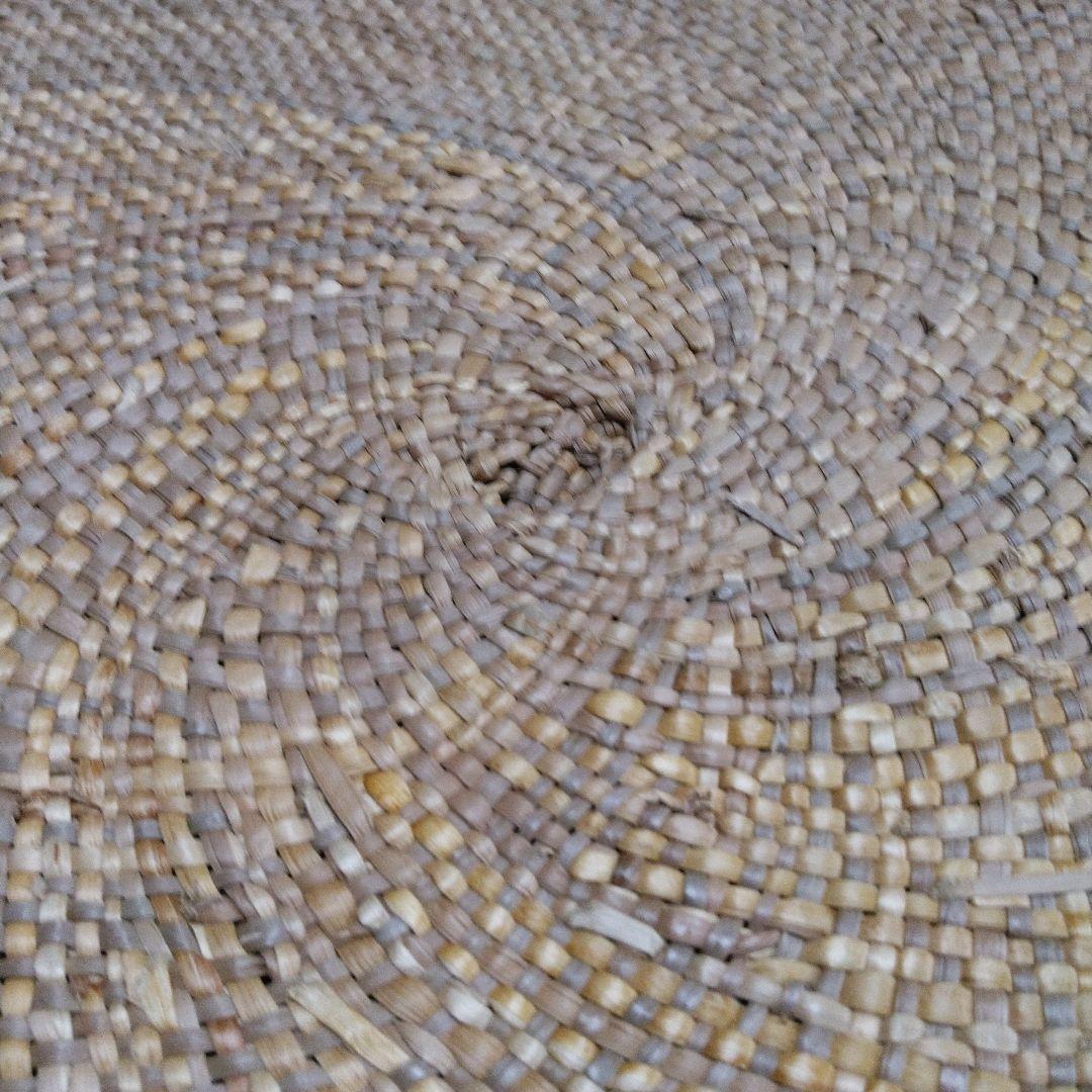 ロフテー天然草　馬来草小座布団　 5枚組