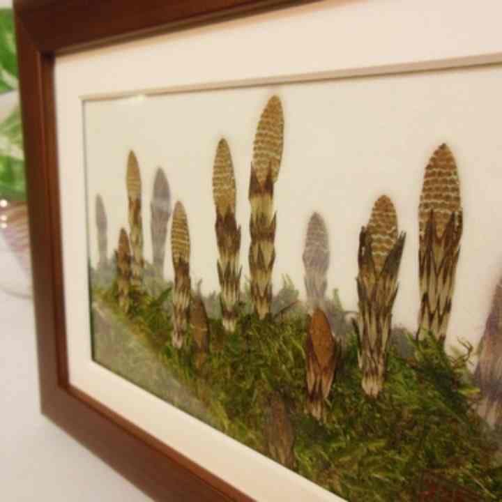 【送料無料出産祝いにオススメ!! えっ!?これが押し花なの!?と言われています。