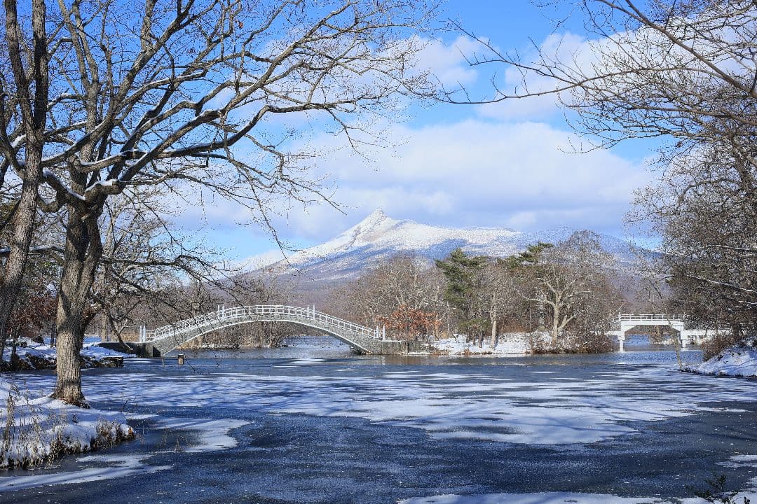 RICOH XR RIKENON 50mm F2 第一世代 【美品】