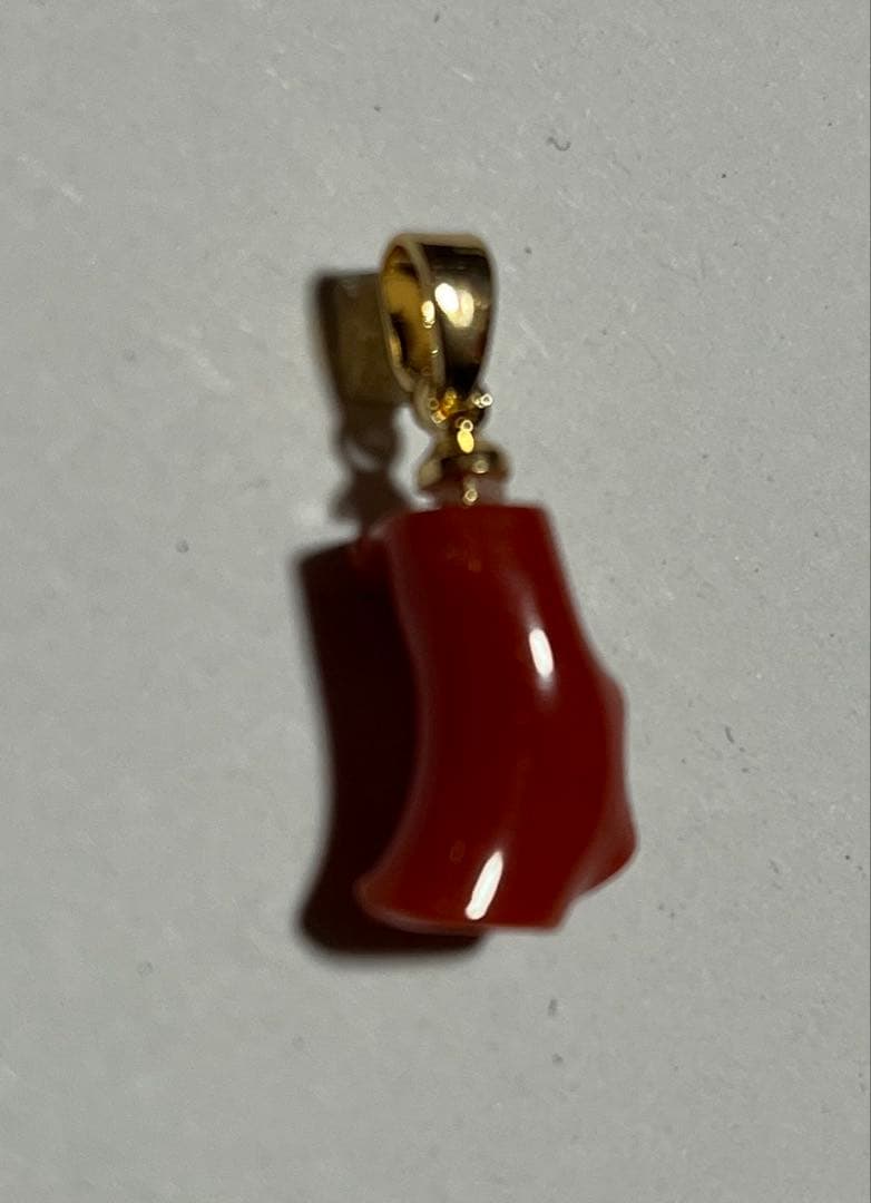 血赤珊瑚 coral 赤珊瑚 ネックレス 高知県産