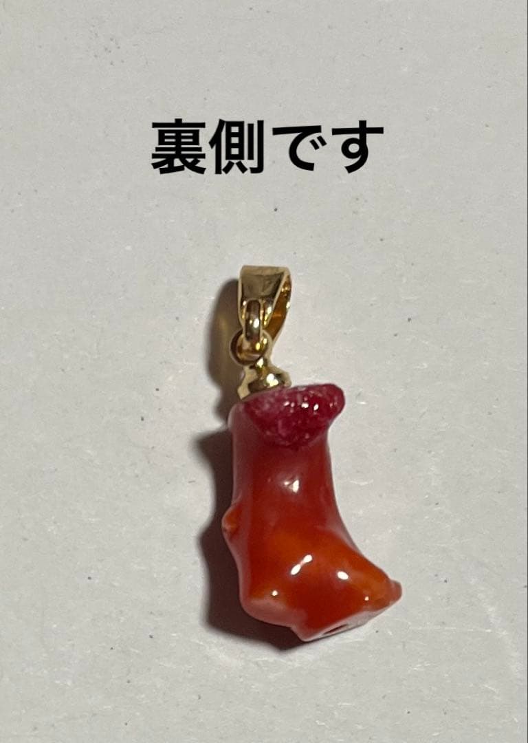 血赤珊瑚 coral 赤珊瑚 ネックレス 高知県産