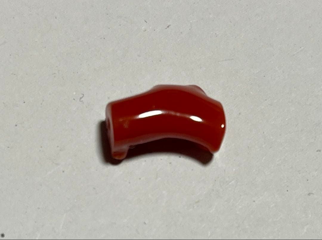 血赤珊瑚 coral 赤珊瑚 ネックレス 高知県産
