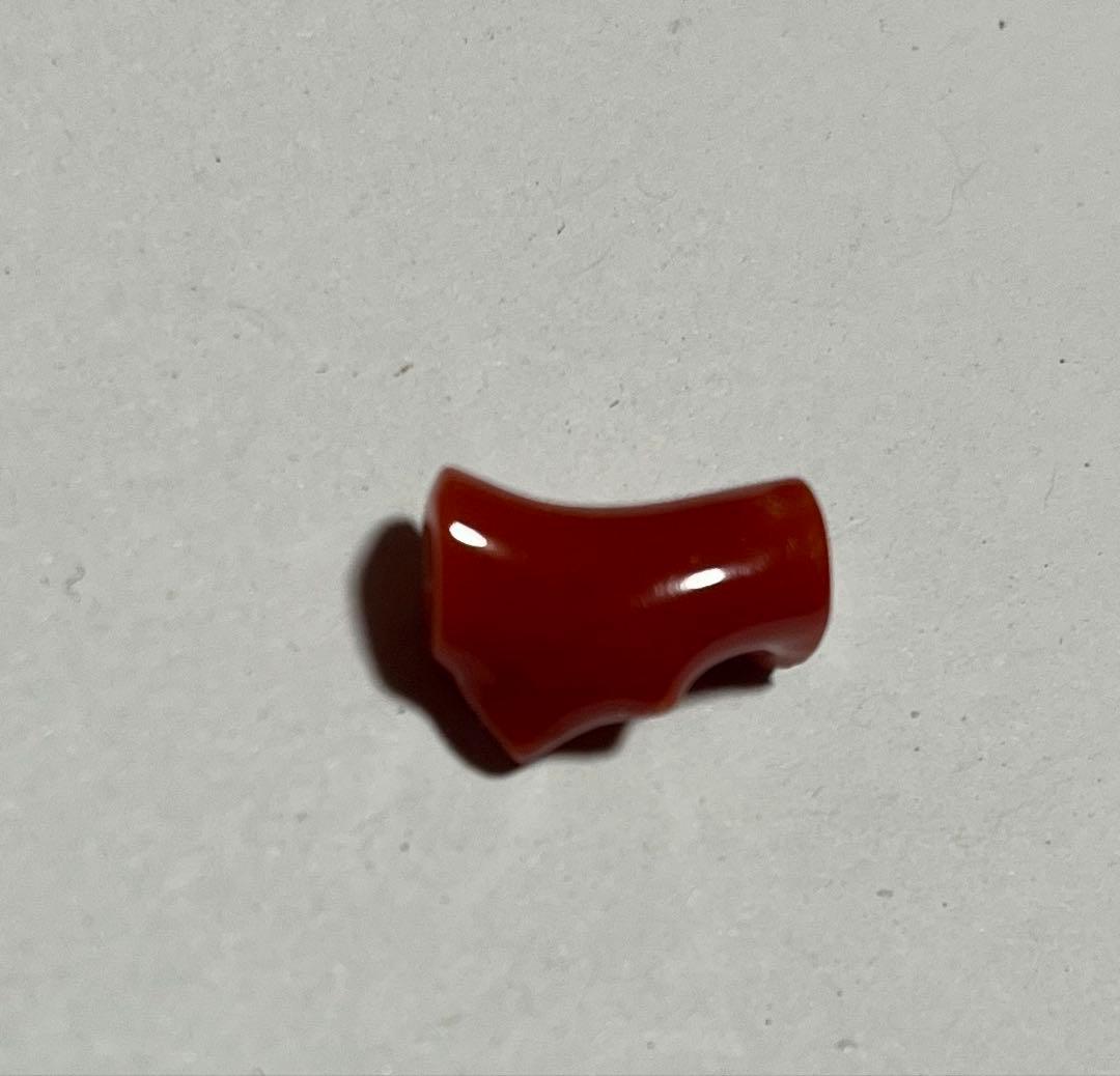 血赤珊瑚 coral 赤珊瑚 ネックレス 高知県産