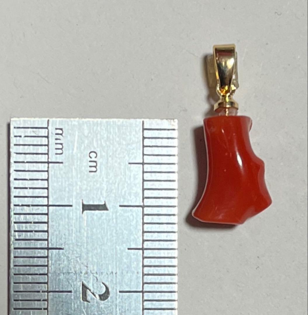 血赤珊瑚 coral 赤珊瑚 ネックレス 高知県産