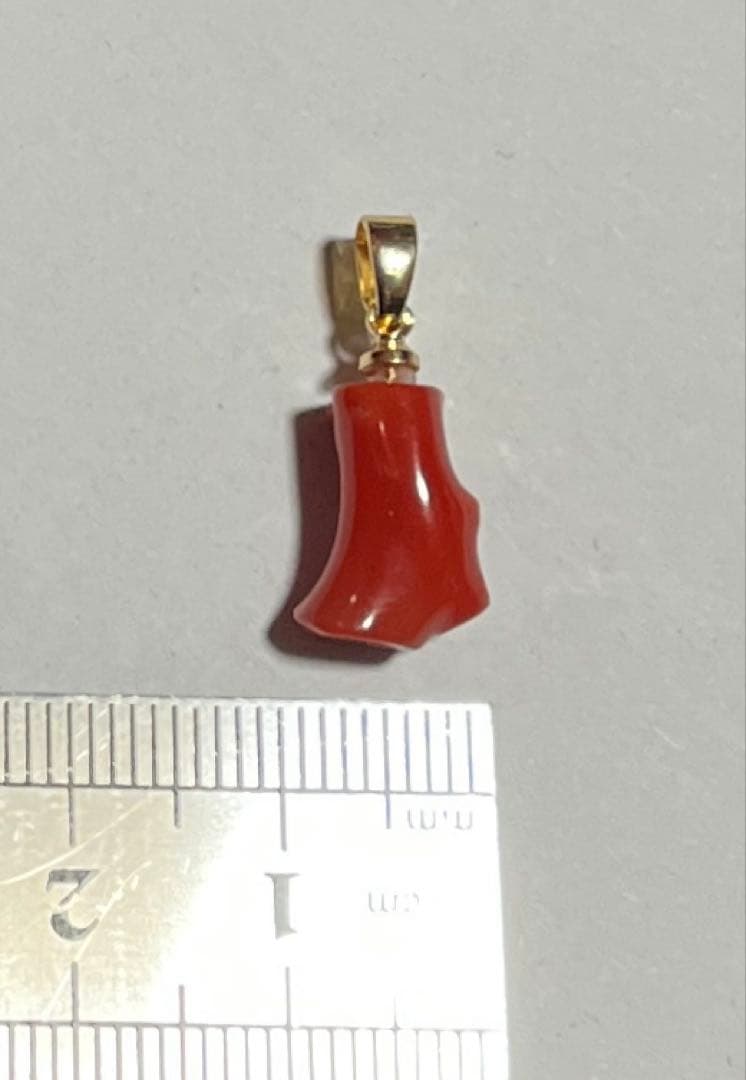 血赤珊瑚 coral 赤珊瑚 ネックレス 高知県産