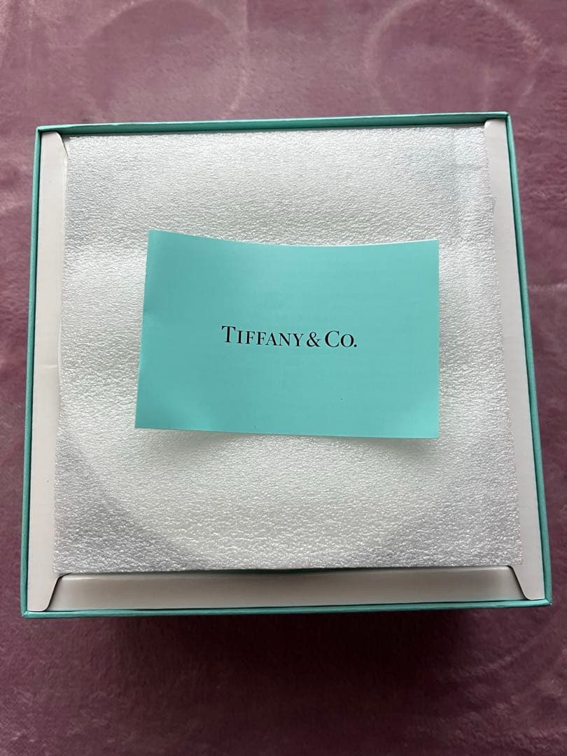 新品　ティファニー TIFFANY＆Co ブルー ボックス ボウル リボン ペア