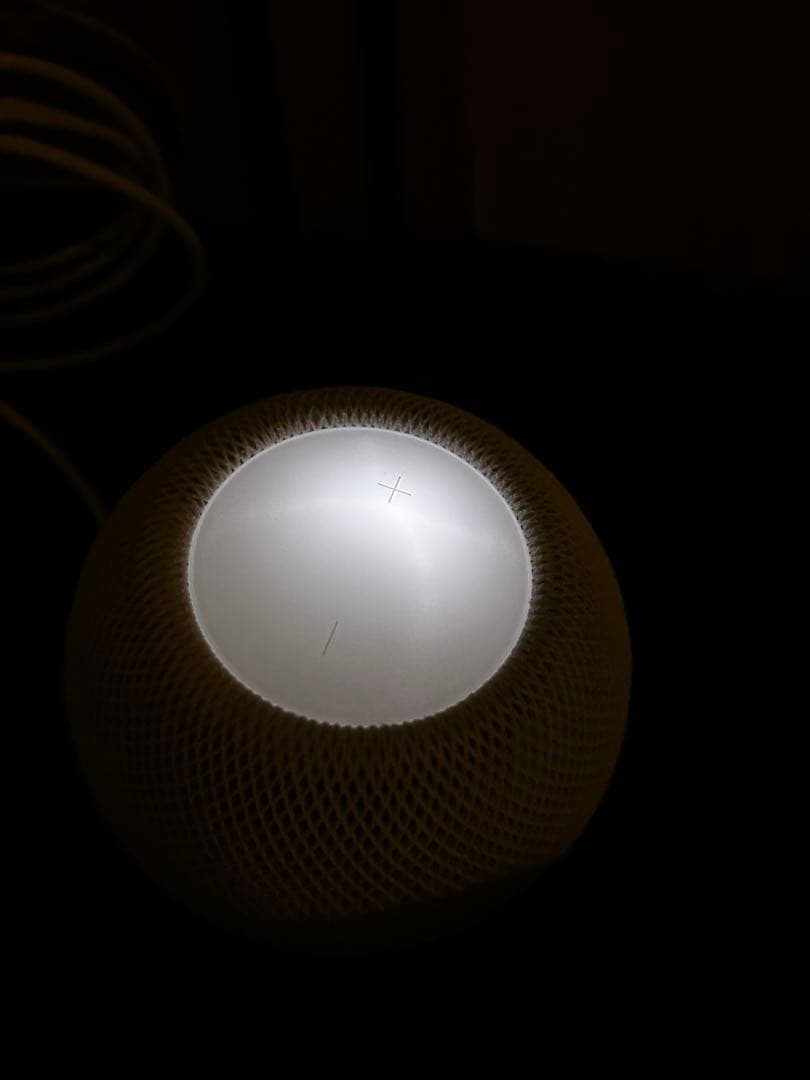 Apple Pod mini ホワイト箱ありACアダプタなし動作確認中古