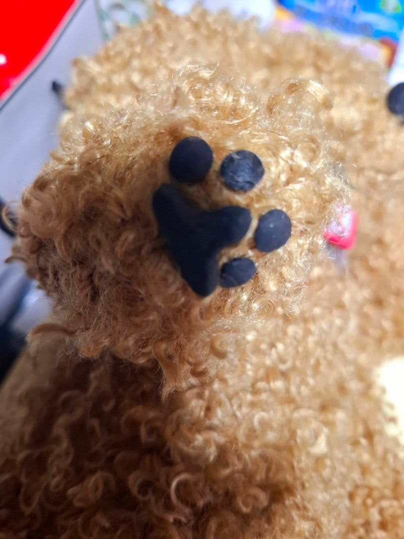 ぬいぐるみ、テディトイプードル、犬、ハンドメイド、オリジナル、特大、肉球