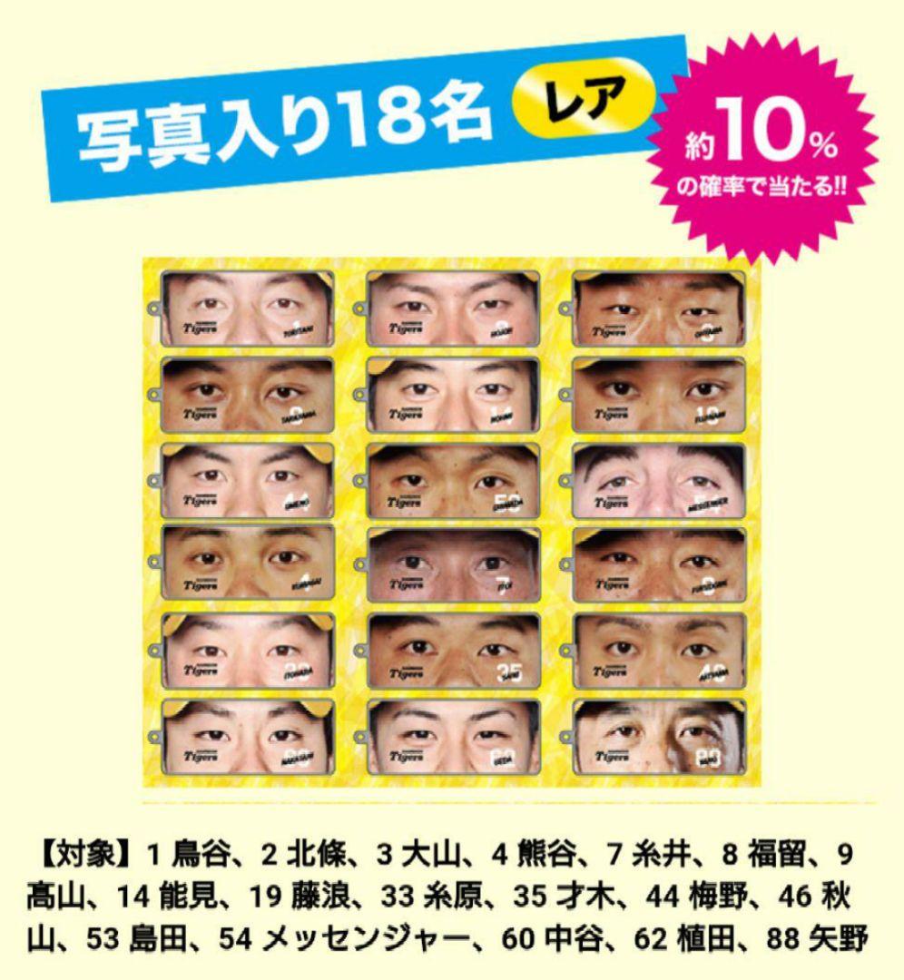 レア❗【能見篤史】阪神タイガース アクリルキーホルダー セット【値下げ不可】